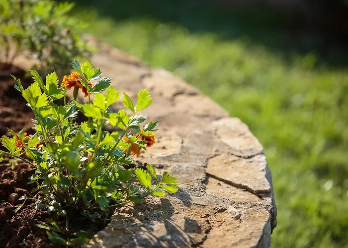 Duranca アパート *